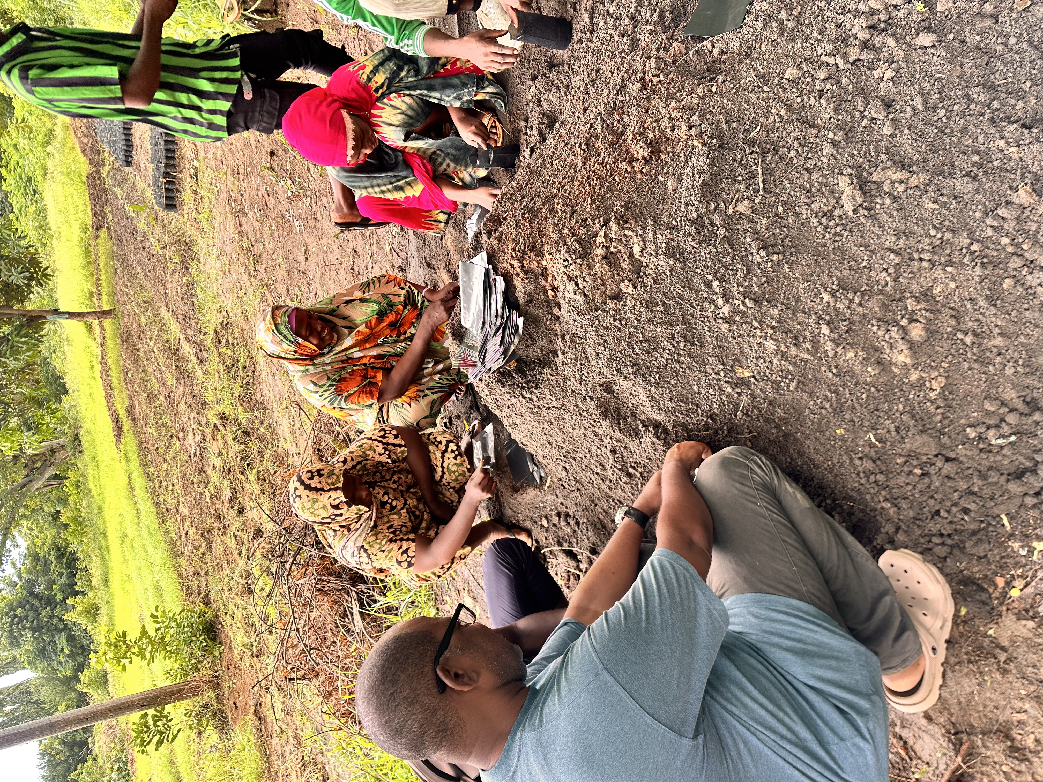 Preparing Seedling Bags